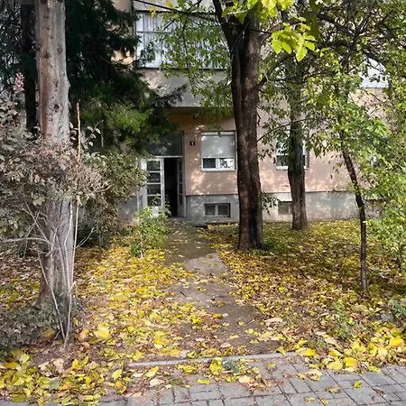 Cozy Lägenhet *